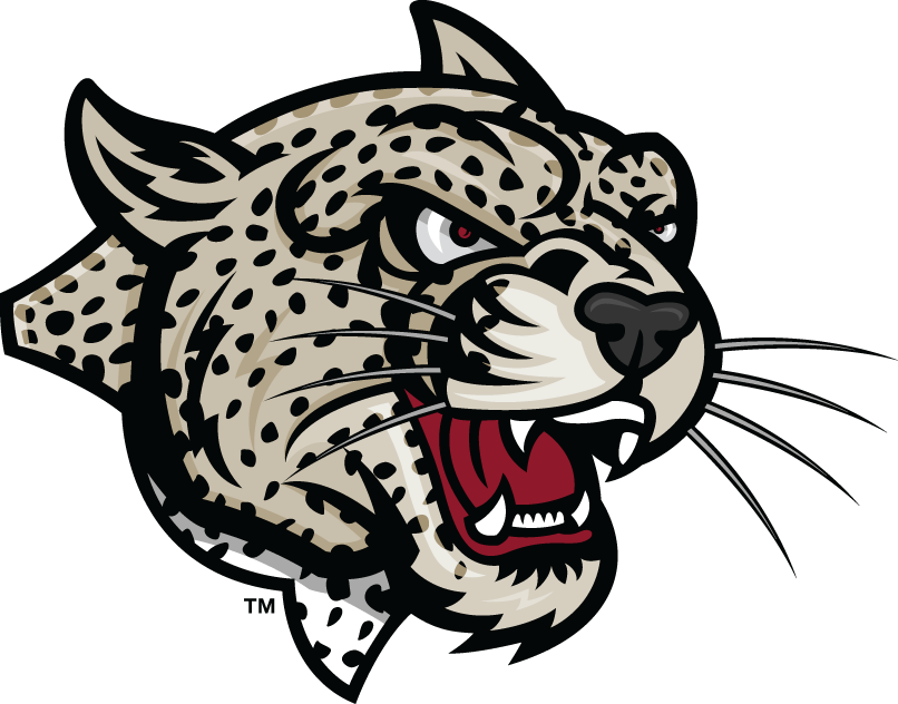 Lafayette Leopards 2000-Pres Partial Logo DIY iron on transfer (heat transfer)